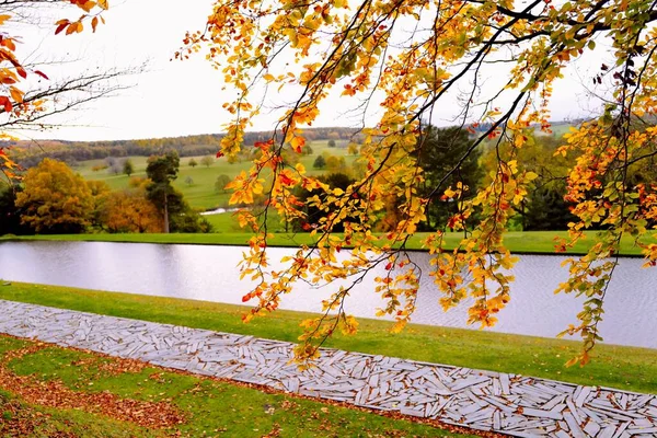 River Surrounded Nature Autumn — Stock Photo, Image