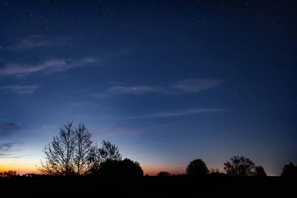 Gün Batımında Mavi Alacakaranlıkta Yıldızlı Yapraksız Ağaçların Çalıların Silueti — Stok fotoğraf