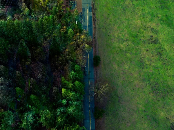 Een Eenzame Weg Omringd Door Bomen Aan Ene Kant Groen — Stockfoto
