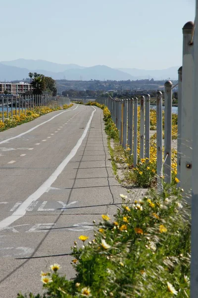 Her Iki Tarafında Dikey Taşlar Olan Bir Cadde Çiçekler Arka — Stok fotoğraf