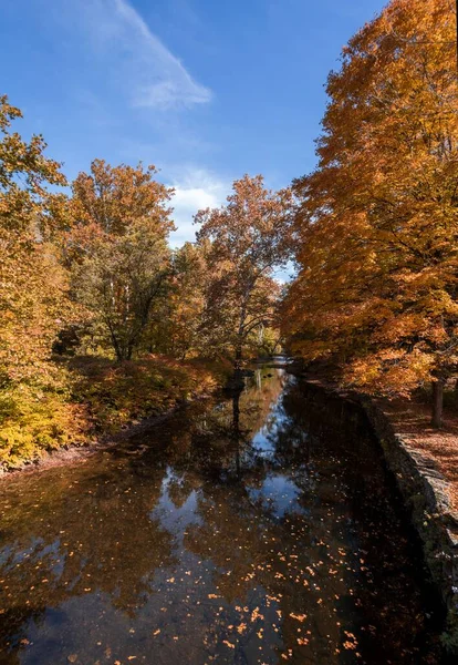 Eine Vertikale Aufnahme Der Herbstbäume Die Sich Wasser Des Callicoon — Stockfoto