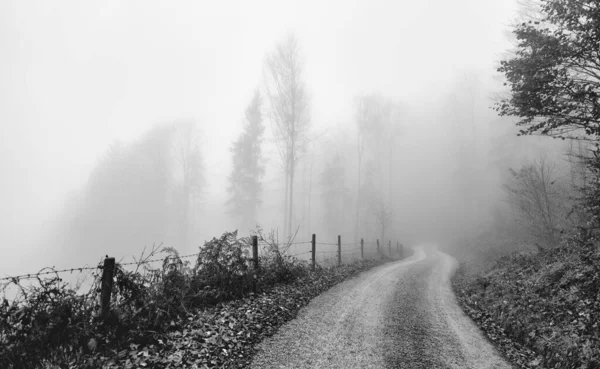 霧に覆われた道路の灰色のショット — ストック写真