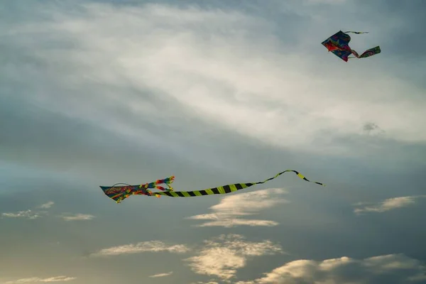 昼間に空を飛ぶ2匹の凧のクローズアップ — ストック写真