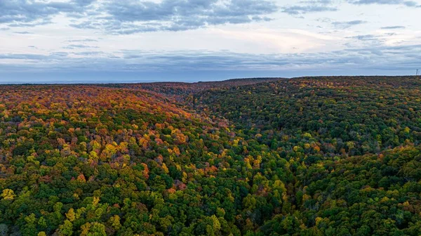 紅葉の時期には鬱蒼とした色とりどりの森が広がる — ストック写真