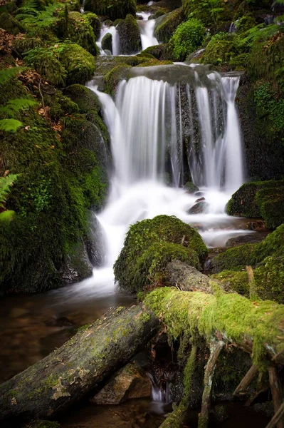 Scenic Waterfall Forest — Stock Photo, Image