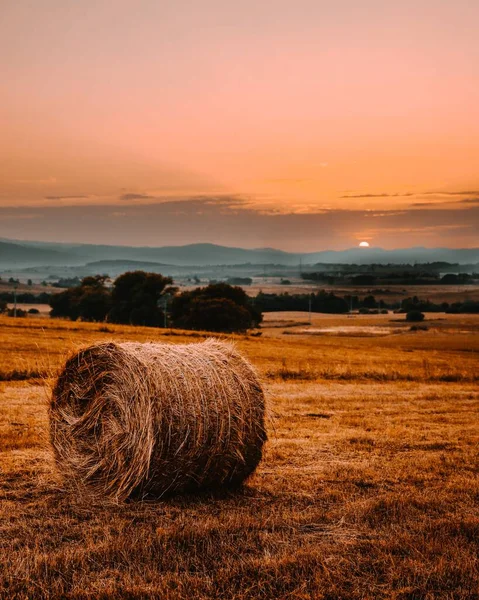 Vertical Hay Bale Roll Freshly Cut Grass Golden Field Sunset — Stock Photo, Image