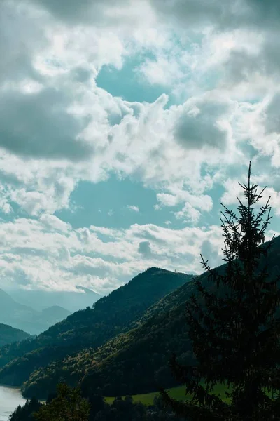 丘や木の垂直ショット青い雲の空に対して — ストック写真