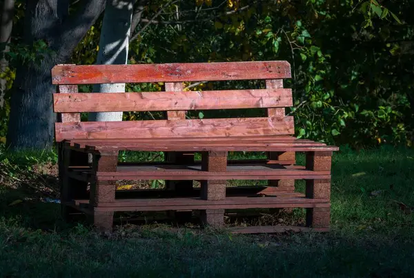 Red Wooden Bench Evergreen Park Daytime — Stock Photo, Image