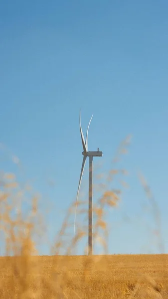 Vertikální Záběr Větrné Turbíny Poli Proti Jasně Modré Obloze Během — Stock fotografie