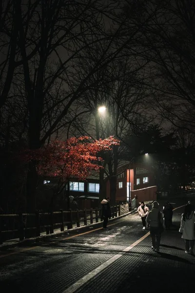 Geceleyin Aydınlık Sokak Lambalarının Altında Yürüyen Insanları Dikey Bir Çekim — Stok fotoğraf