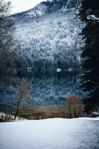 冬の岩山や森を映し出す透き通った川 — ストック写真