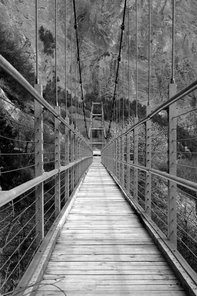 Вертикальный Серый Мост Длинным Подвесным Мостом Окруженный Большими Горами Деревьями — стоковое фото