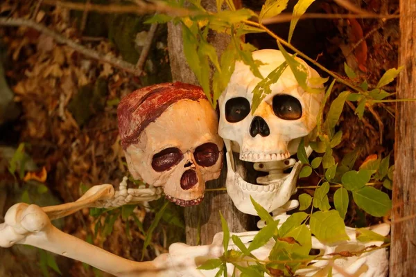 Una Decoración Temática Con Dos Cráneos Humanos Con Hojas Árbol — Foto de Stock