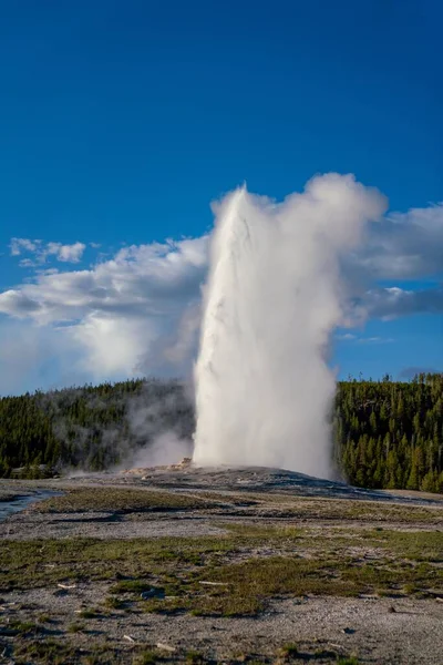 stock image A vertical shot of a geyser filled with hot water near the forest