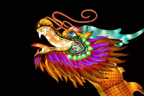 Colorful Art Design Dragon Head Black Background Kansas City Zoo — Stock Photo, Image