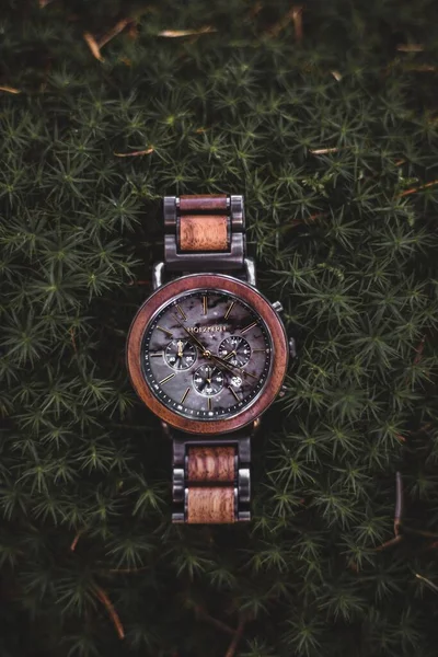 葉の暗い緑の背景に美しいクルミの木の時計の閉鎖 — ストック写真