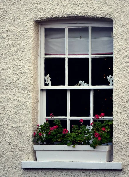 Vertikal Närbild Bild Ett Vitt Fönster Lägenhet Med Rosa Blomkruka — Stockfoto