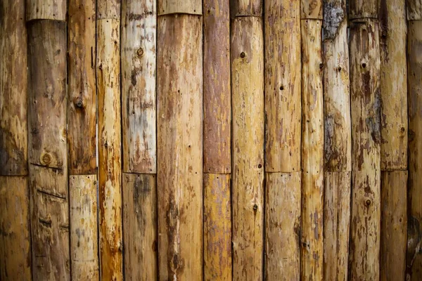 Madeira Cain Floresta — Fotografia de Stock