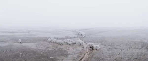 Sisli Bir Günde Üzerinde Dar Bir Göl Bulunan Karla Kaplı — Stok fotoğraf