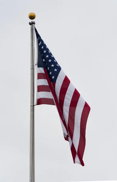 Disparo Vertical Bandera Los Estados Unidos Poste Con Fondo Gris —  Fotos de Stock