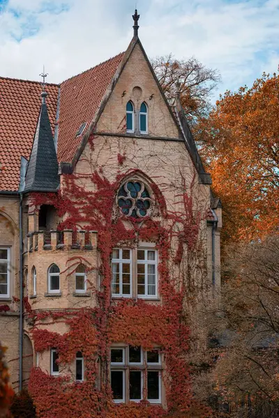 Eine Gebäudefassade Mit Herbstlichen Kletterpflanzen — Stockfoto