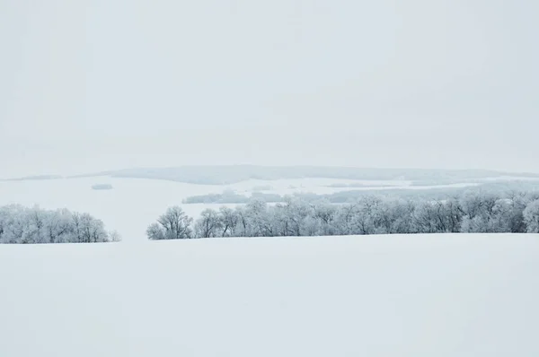 加拿大马尼托巴省一个寒冷下午的冬季风景 — 图库照片