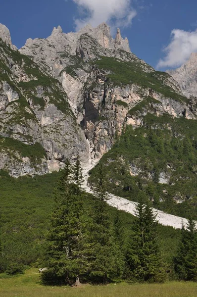 Tırtıklı Dağların Dikey Bir Görüntüsü Yamaçtaki Ayağındaki Orman Daima Yeşil — Stok fotoğraf