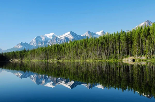 캐나다 헤르베르트 호수에 나무들의 눈덮인 산들의 — 스톡 사진