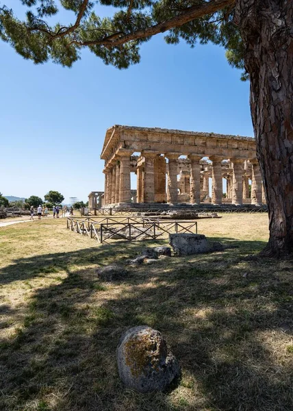 カンパニア州 イタリア 垂直の古代ギリシャの都市でアテナの古代の牧歌的な寺院 — ストック写真