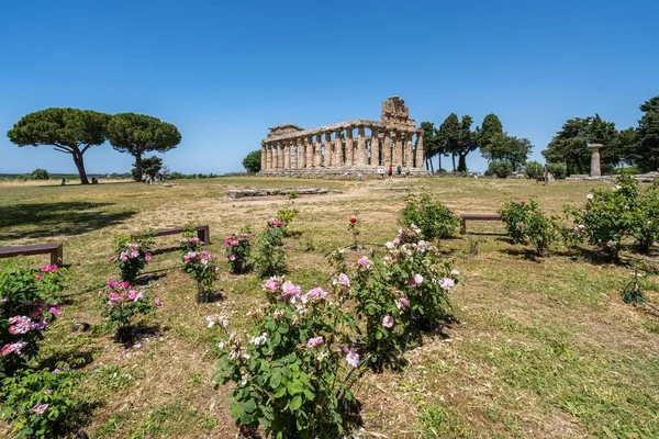 Antigo Templo Dórico Atena Antiga Cidade Grega Paestum Campânia Itália — Fotografia de Stock