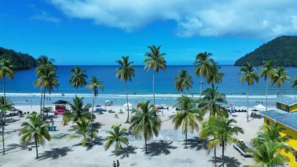 Een Idyllisch Strand Met Palmen — Stockfoto
