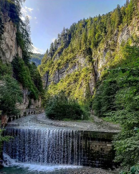 森の中を流れる滝の垂直ショット — ストック写真