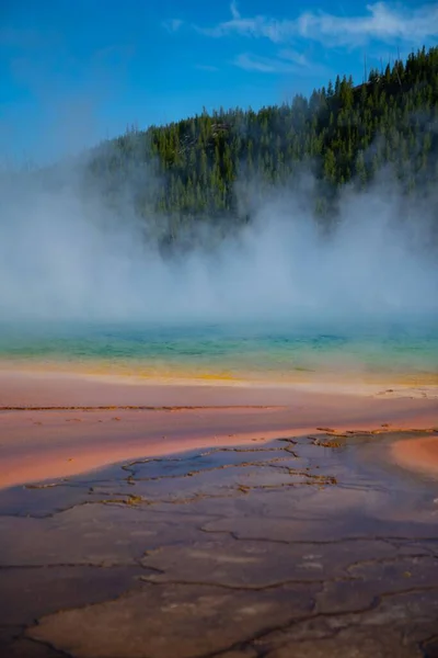 Vertical Shot Geyser Filled Hot Water Forest — Stock Photo, Image