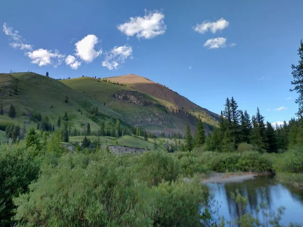 青空の下で緑の木々や丘の美しい景色 — ストック写真