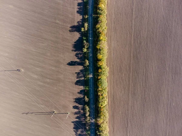 用奶油色和高大的树拍出的田野的空中照片 — 图库照片