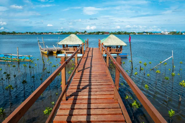 Die Holzbrücke Über Das Wasser Umgeben Von Üppigen Bäumen Mangrove — Stockfoto
