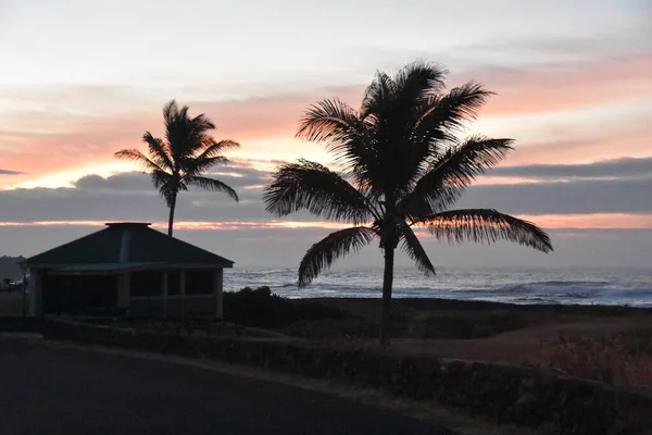 夕阳西下的棕榈树和海边的一座房子的轮廓 — 图库照片
