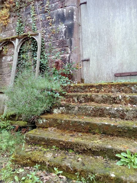 Gündüz Vakti Bahçeye Çıkan Yosun Kaplı Merdivenlerin Dikey Görüntüsü — Stok fotoğraf