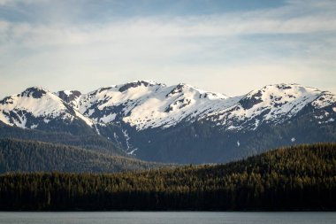 Arkasında yeşil ormanlar olan karlı dağların büyüleyici manzarası.
