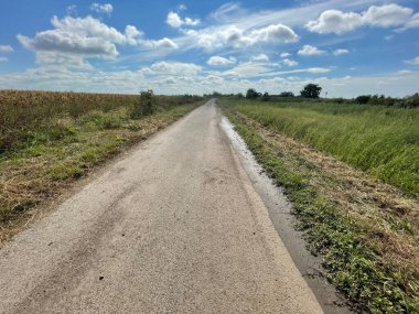 Parlak bulutlu gökyüzünün altında yeşil bir tarlada boş bir yol - özgürlüğe giden yol