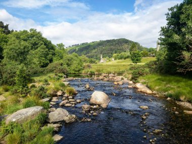 Ağaçlarla çevrili büyük kayalarla dolu bir nehir.