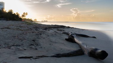 Güneşli bir yaz gününde güzel bir deniz manzarası