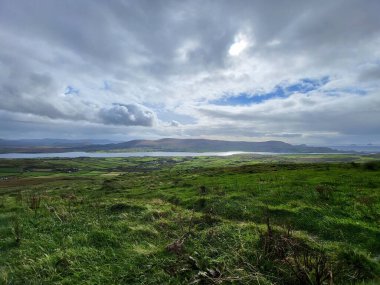 Yeşil tarlaları olan manzaralı bir manzara ve arka planda gündüz vakti bir göl