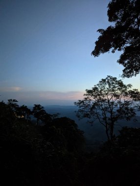 Gün batımında kırsaldaki yemyeşil yemyeşil ağaçların manzarası.