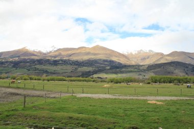 At binerken Queenstown orman manzarası