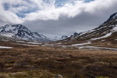 Piterstulen, Jotunheimen, Norveç 'teki karlı dağların yakınındaki Visladen Vadisi' nin güzel bir görüntüsü.