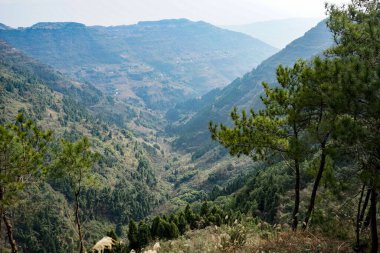Kırsal kesimdeki orman ve dağ manzarası.