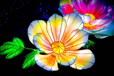 Parlayan çiçeklerin yakın çekimi