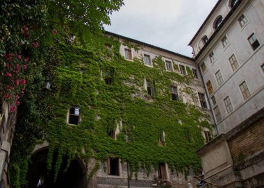 Şehir binası yeşil santrallerle kaplı, Roma, İtalya, alçak açılı.