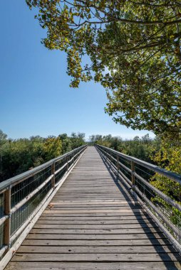 Mavi gökyüzünün altında dar tahta bir köprünün dikey görüntüsü.